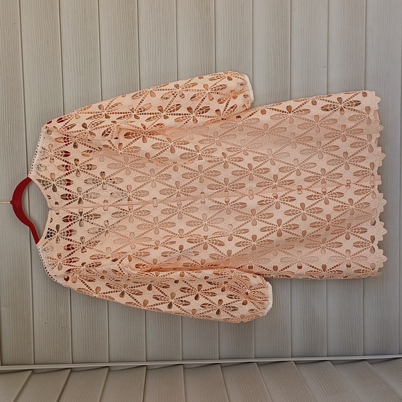 NWOT Sandro Paris Kezel Shift Dress with Embroidery - Picture 6 of 7